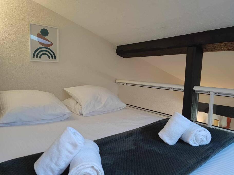 Charme De Victor Conciergeriedamecarcas Lägenhet Carcassonne Exteriör bild