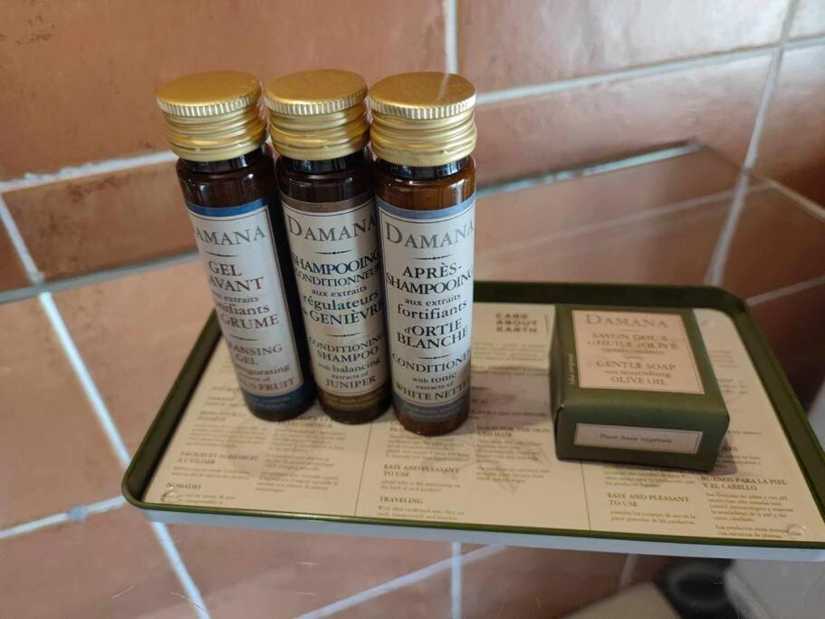 Charme De Victor Conciergeriedamecarcas Lägenhet Carcassonne Exteriör bild